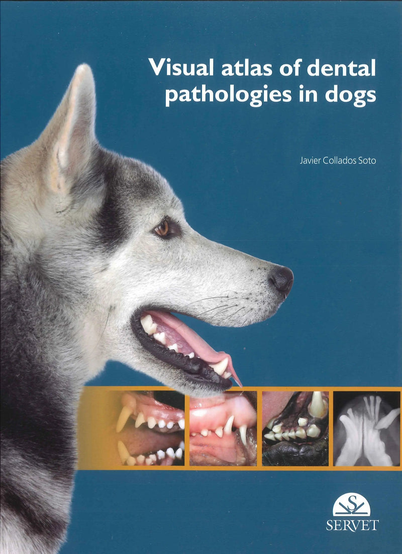 Visual Atlas of Dental Pathologies in Dogs by Javier Collados Soto