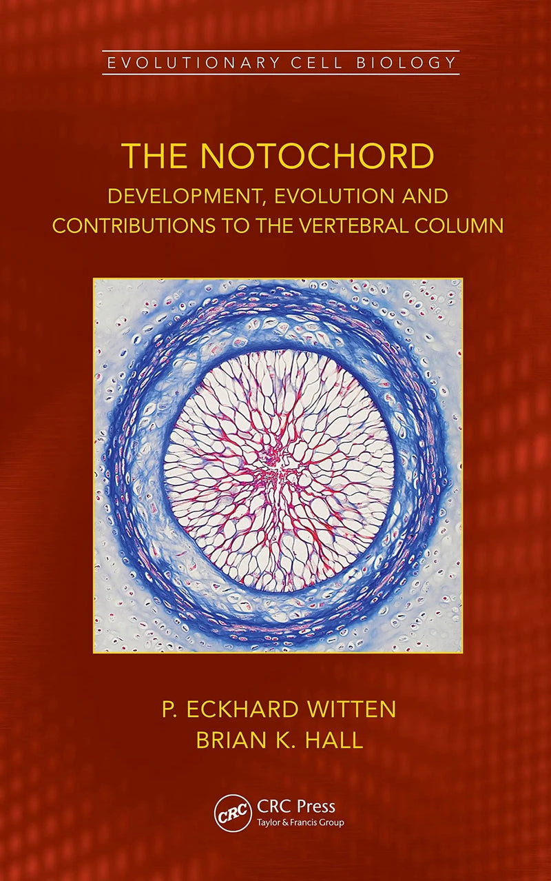 The Notochord Development, Evolution and Contributions to the Vertebral Column by P. Eckhard Witten