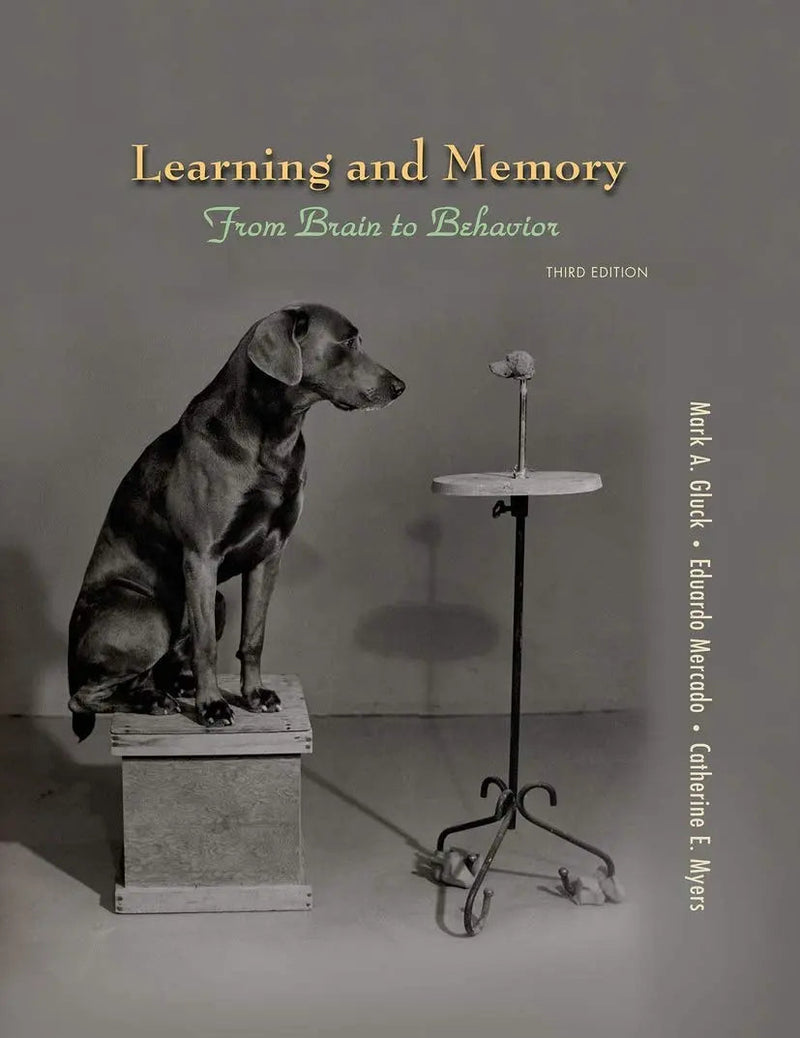 Learning and Memory by Mark A. Gluck