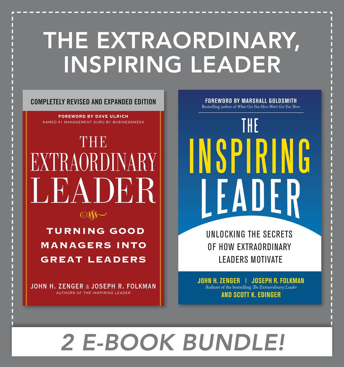 The Extraordinary, Inspiring Leader (Book BUNDLE)