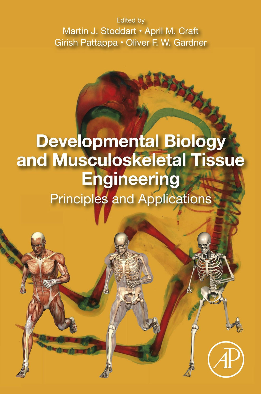 Developmental Biology and Musculoskeletal Tissue Engineering: Principles and Applications