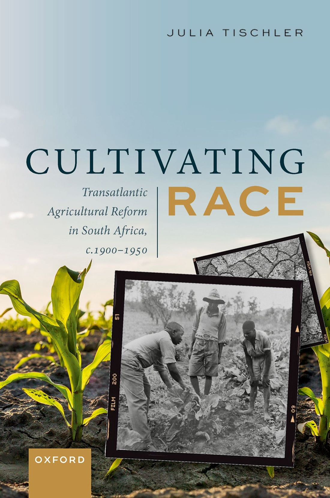 Cultivating Race: Transatlantic Agricultural Reform in South Africa, c. 1900-1950