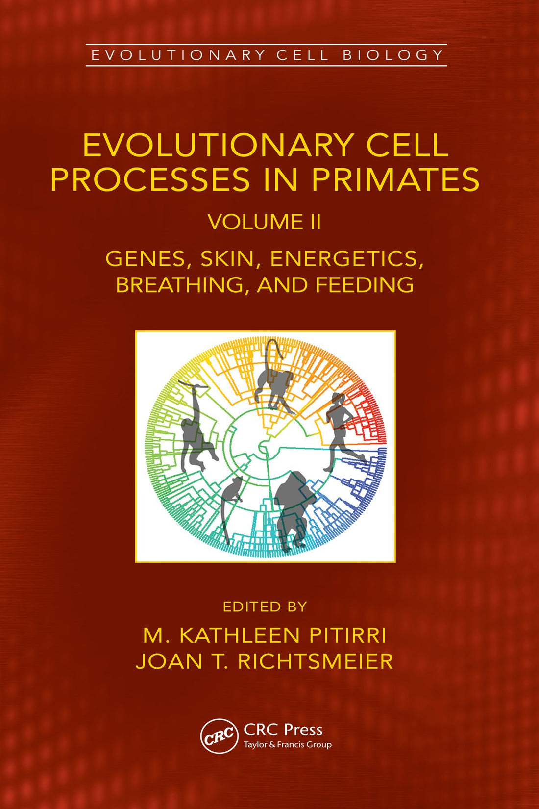 Evolutionary Cell Processes in Primates: Genes, Skin, Energetics, Breathing, and Feeding, Volume II