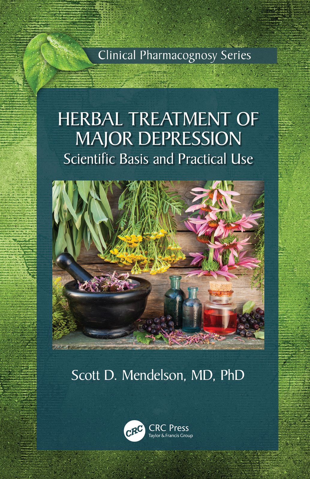 Herbal Treatment of Major Depression: Scientific Basis and Practical Use