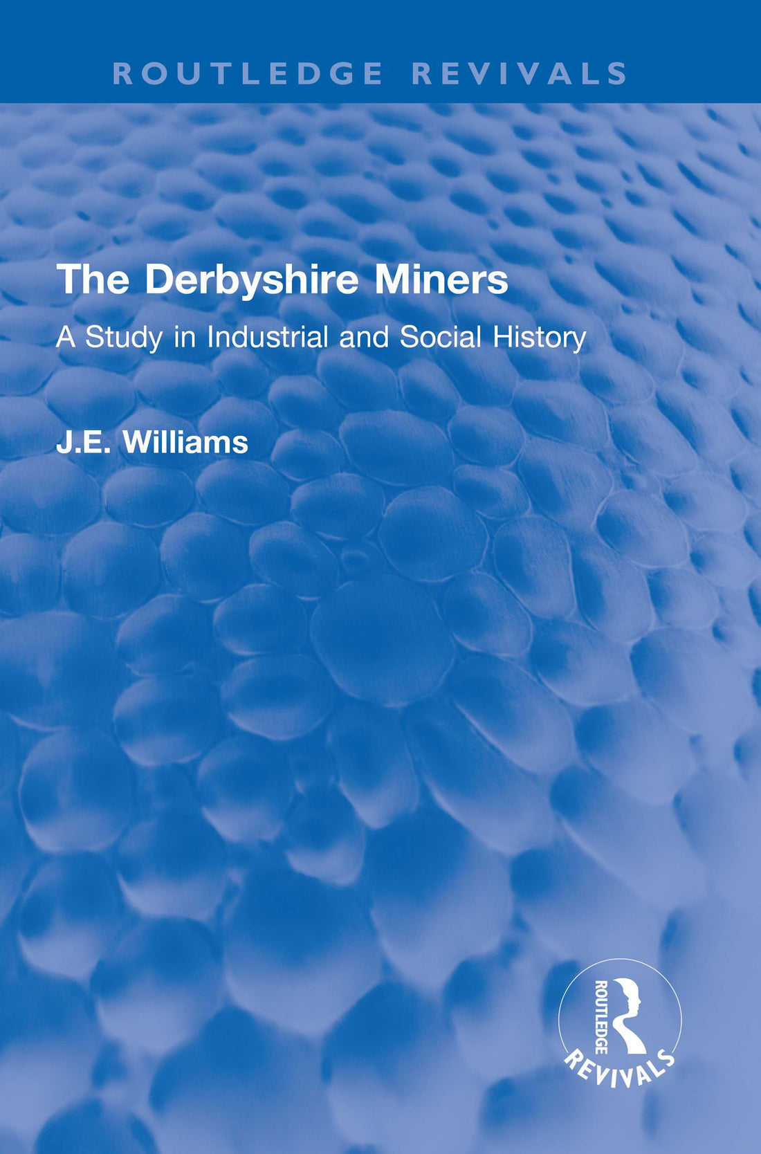 The Derbyshire Miners: A Study in Industrial and Social History