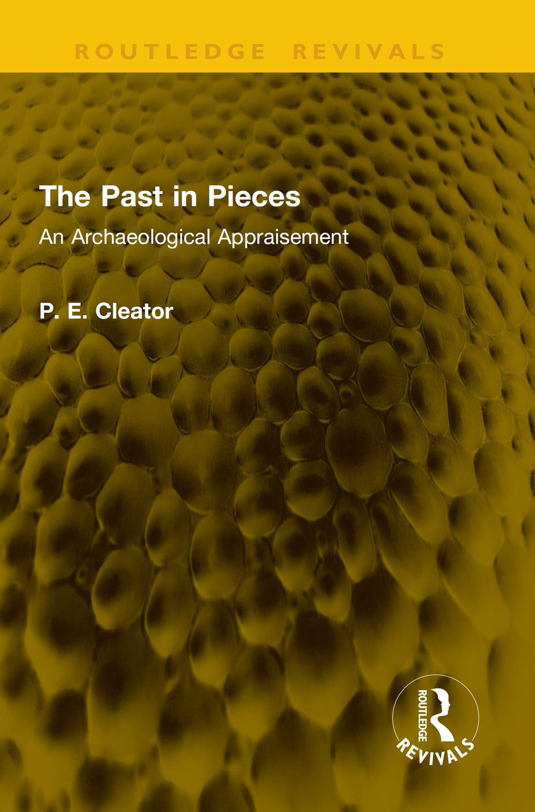 The Past in Pieces: An Archaeological Appraisement