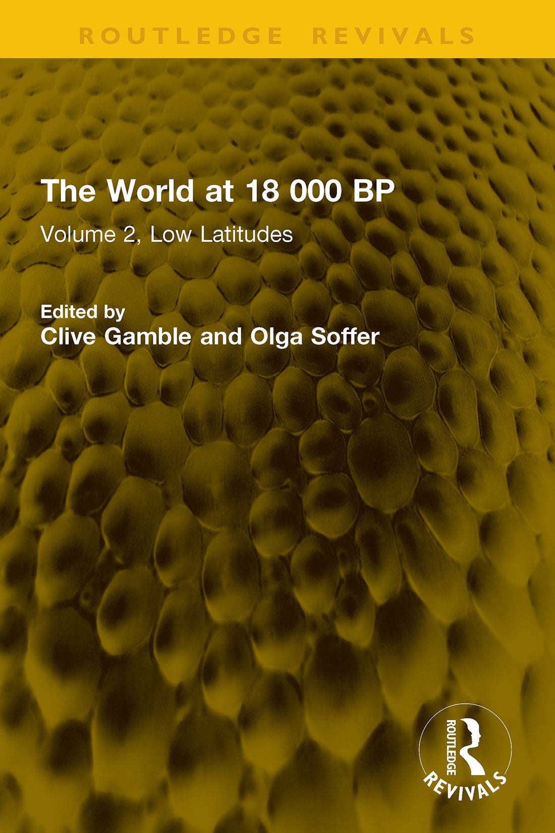 The World at 18 000 BP: Volume 2, Low Latitudes
