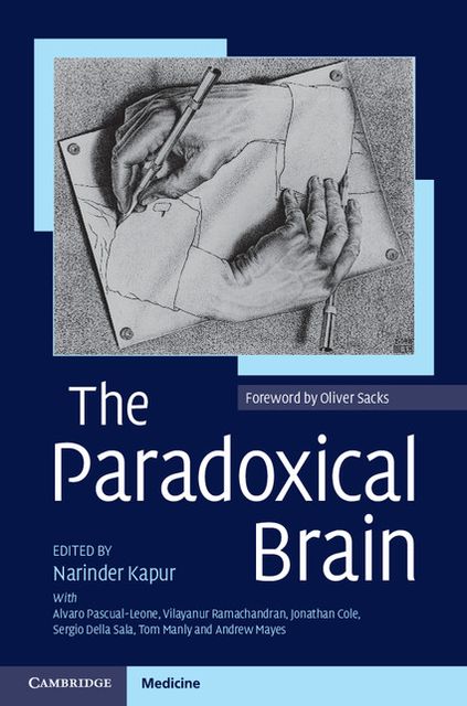 The Paradoxical Brain