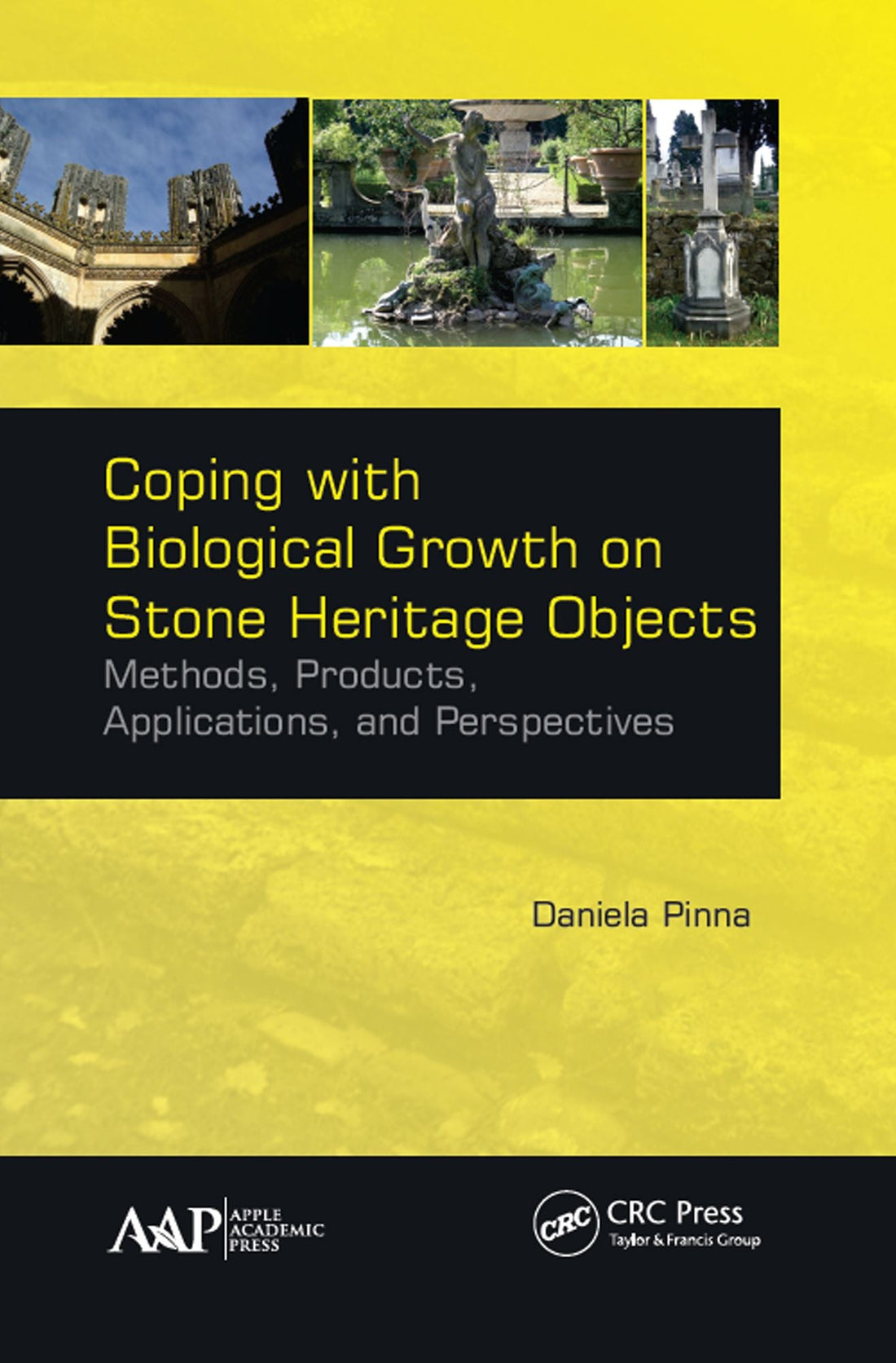 Coping with Biological Growth on Stone Heritage Objects: Methods, Products, Applications, and Perspectives