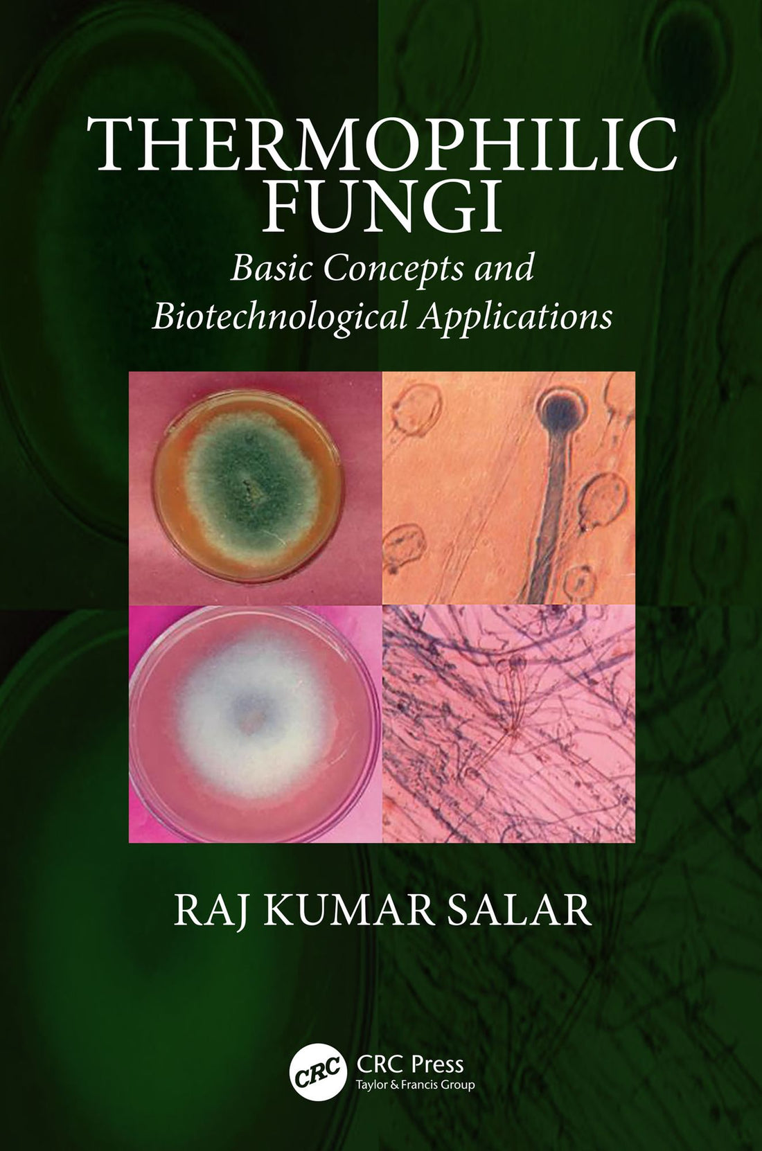 Thermophilic Fungi: Basic Concepts and Biotechnological Applications