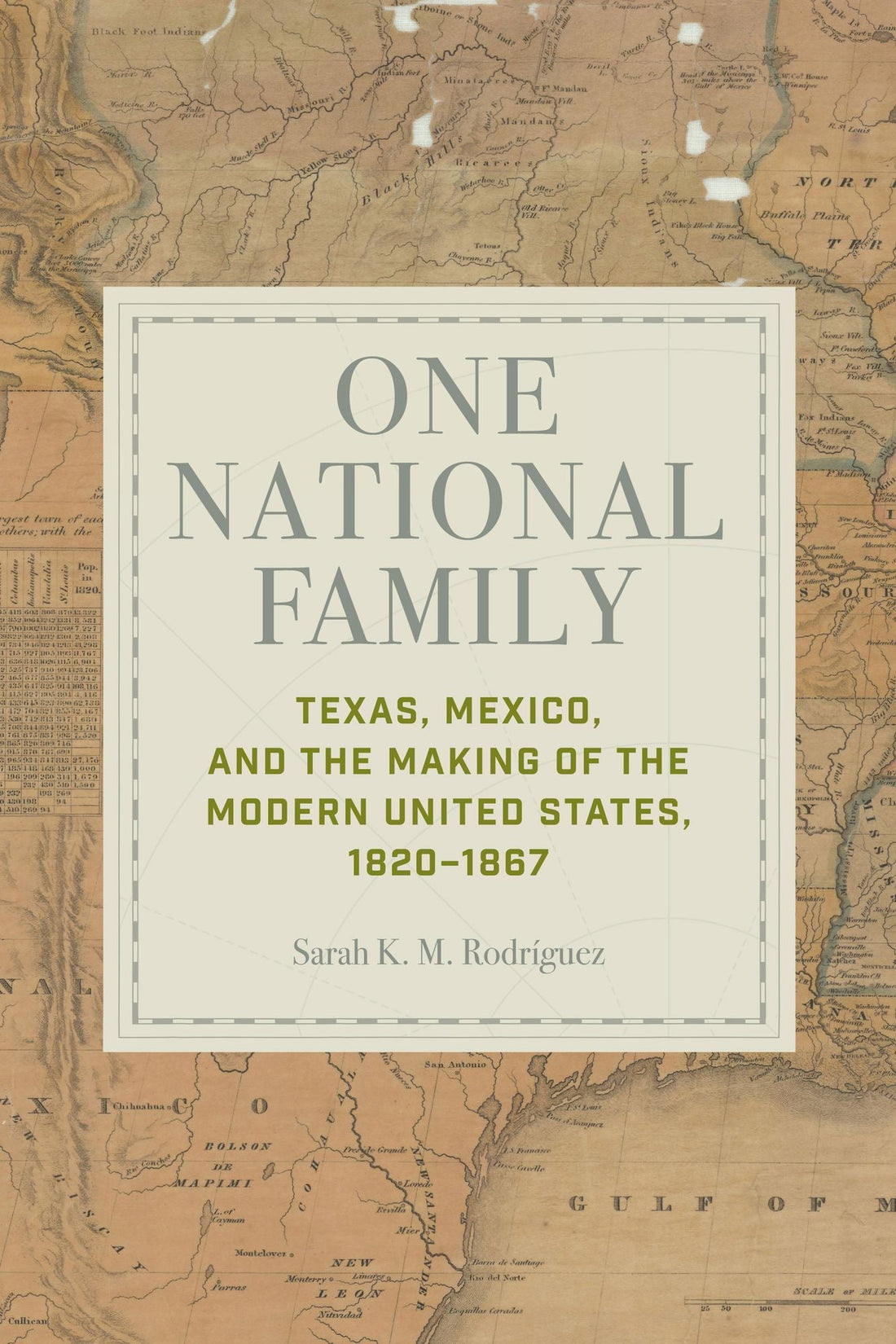 One National Family: Texas, Mexico, and the Making of the Modern United States, 1820-1867