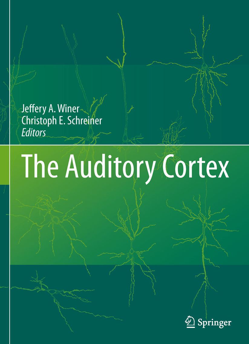 The Auditory Cortex