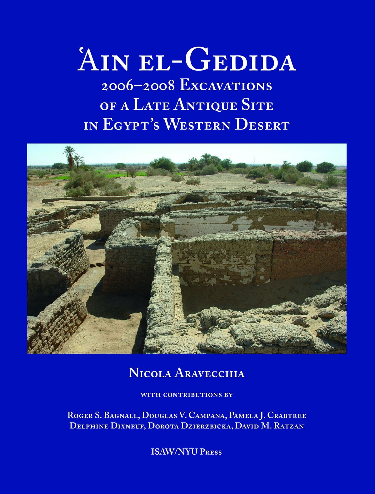 'Ain el-Gedida: 2006-2008 Excavations of a Late Antique Site in Egypt's Western Desert (Amheida IV)