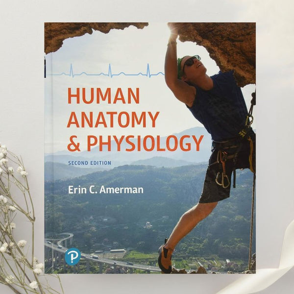 Human Anatomy and Physiology 2nd Edition by Erin Amerman (2018)