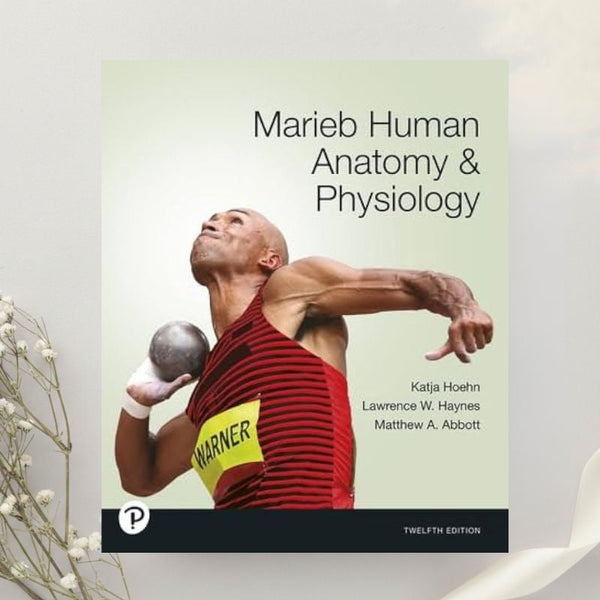 Marieb Human Anatomy and Physiology 12th Edition by Katja Hoehn et al. (2024)